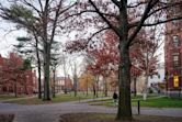 Harvard Yard