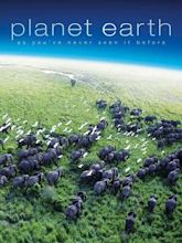 Planet Earth