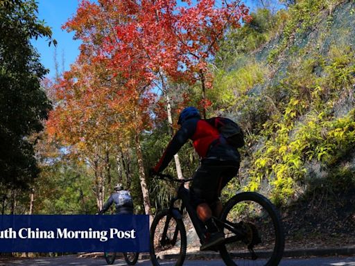 Mainland cyclist’s death sparks calls for Hong Kong road safety publicity boost