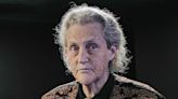 Well-known author Temple Grandin visits Meridian Mall's autism museum