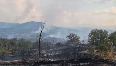 Firefighters continue to battle blazes in Portugal, North Macedonia and Bulgaria