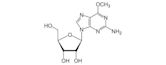 Methylated-DNA-protein-cysteine methyltransferase