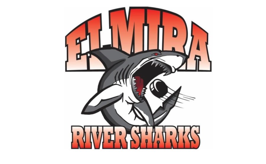 Elmira River Sharks to become Hudson Valley Venom