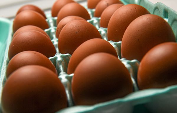 Egg recall is linked to a salmonella outbreak, CDC says: See which states are impacted