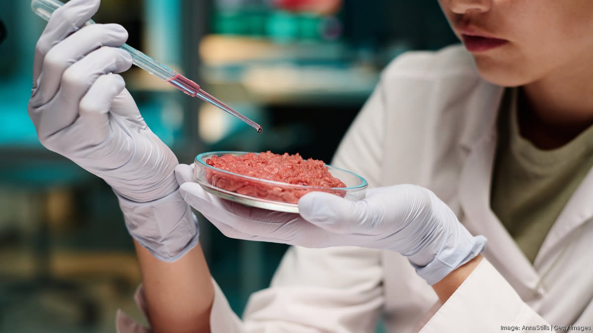 Florida Gov. Ron DeSantis sticks fork in lab-grown meat - Orlando Business Journal