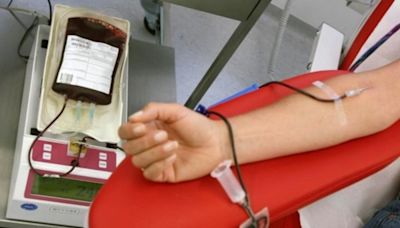 La Provincia invita a donar sangre antes del fin de semana largo: el cronograma de colecta