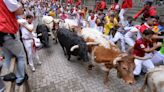 San Fermín 2024: seis denuncias por faltas graves en el encierro y las vaquillas