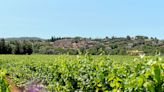 Coteaux-d’aix et coteaux-varois rosés : notre sélection de vins d'été 2024