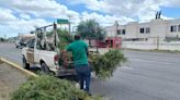 Atienden espacios públicos en Lerdo afectados por lluvias