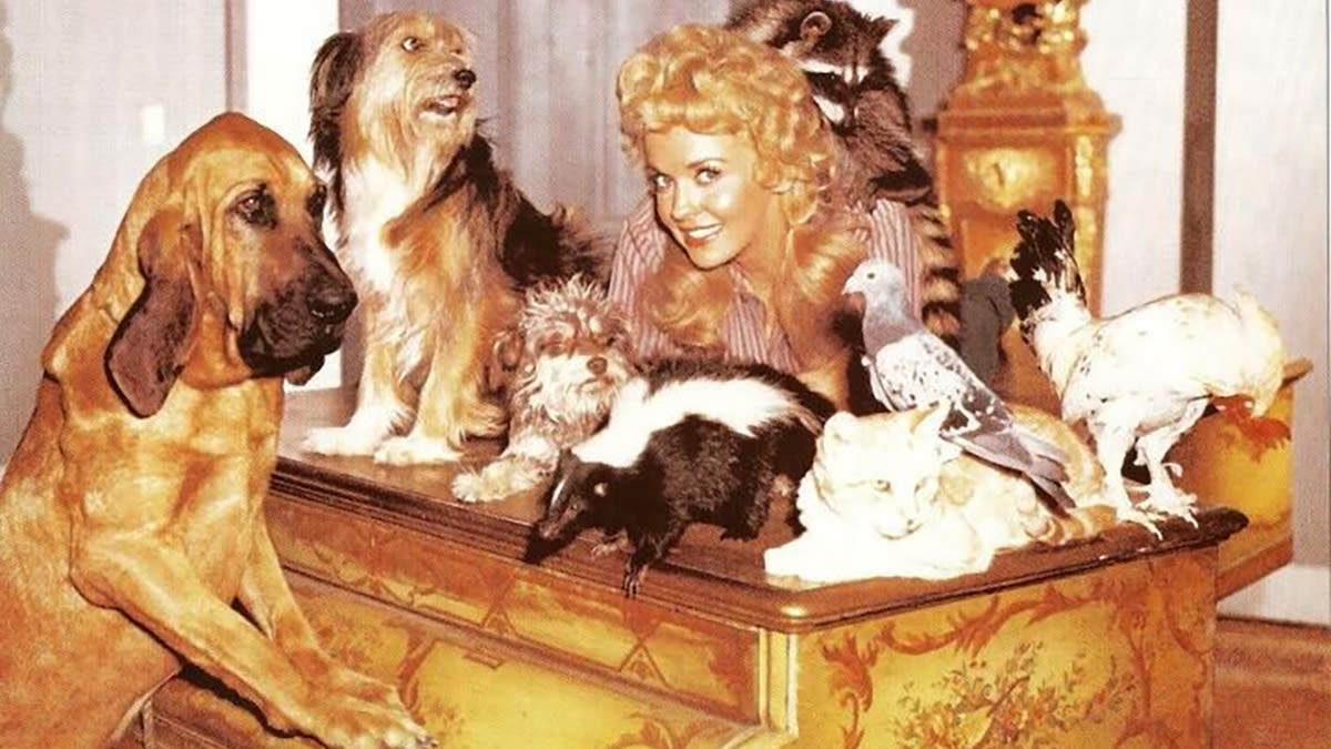 Donna Douglas: 15 Facts About 'The Beverly Hillbillies' Star