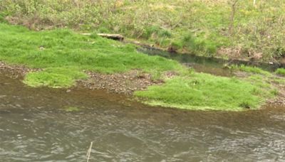 Water concerns continue in Wyoming County