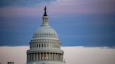 Descendents React to Former Oath Keeper Wearing Punk Band’s T-Shirt During January 6 Hearings