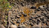 City, parks and watershed district team up to repair Minnehaha Creek, clean up Lake Hiawatha