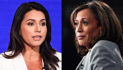 'Caught off guard': How Tulsi Gabbard's big moment with Harris is playing into Tuesday's debate