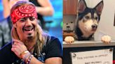 Rock Star Bret Michaels Adopts Shelter Dog That Was Named After Him