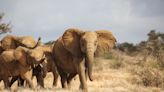 Chyulu Hills, Kenya