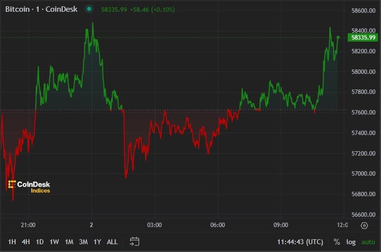 First Mover Americas: BTC Stabilizes Around $58K Following Yesterday's Rout