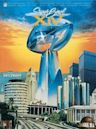 Super Bowl XIV