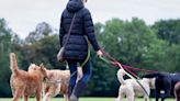 National Trust plans ‘wee poles’ to stop dogs urinating on historic sites