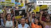 Turkey approves new ‘massacre law’ to round up stray dogs