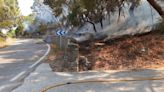 Declarado un incendio forestal en el paraje Arroyo de Casares en la provincia de Málaga