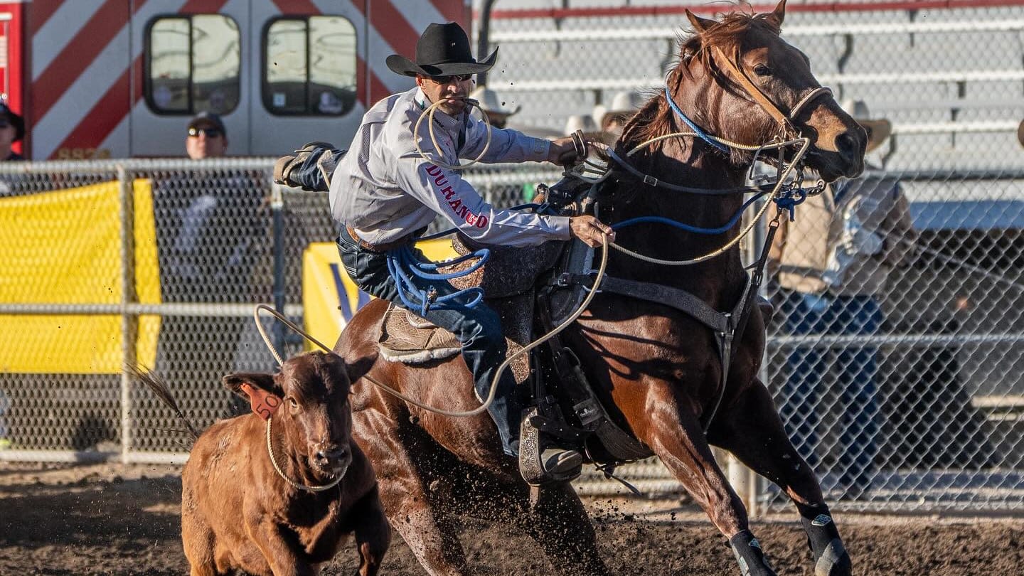 Shane Hanchey Finding Groove With New Horse At The Right Time