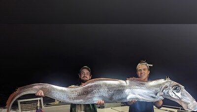 Rare 'doomsday fish' caught by fishermen off Tiwi Islands in Australia