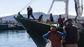 Cerca de 7 millones de kilos de anchoa y 9 de verdel descargados en los puertos de Euskadi