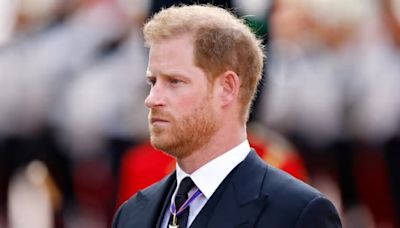 Prince Harry misses out on new honour from King Charles