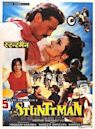 Stuntman (1994 film)