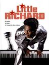 Die Little Richard Story