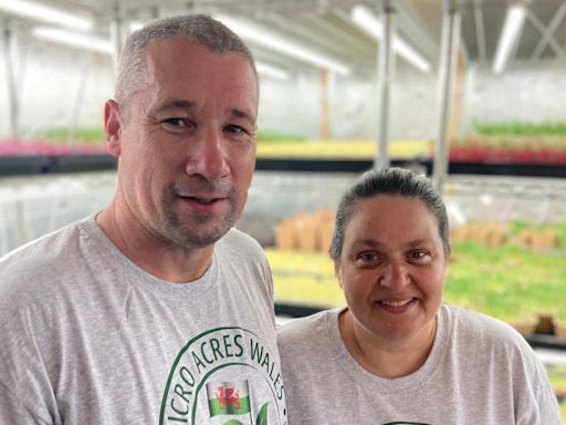 The farmers growing food in garages and barns