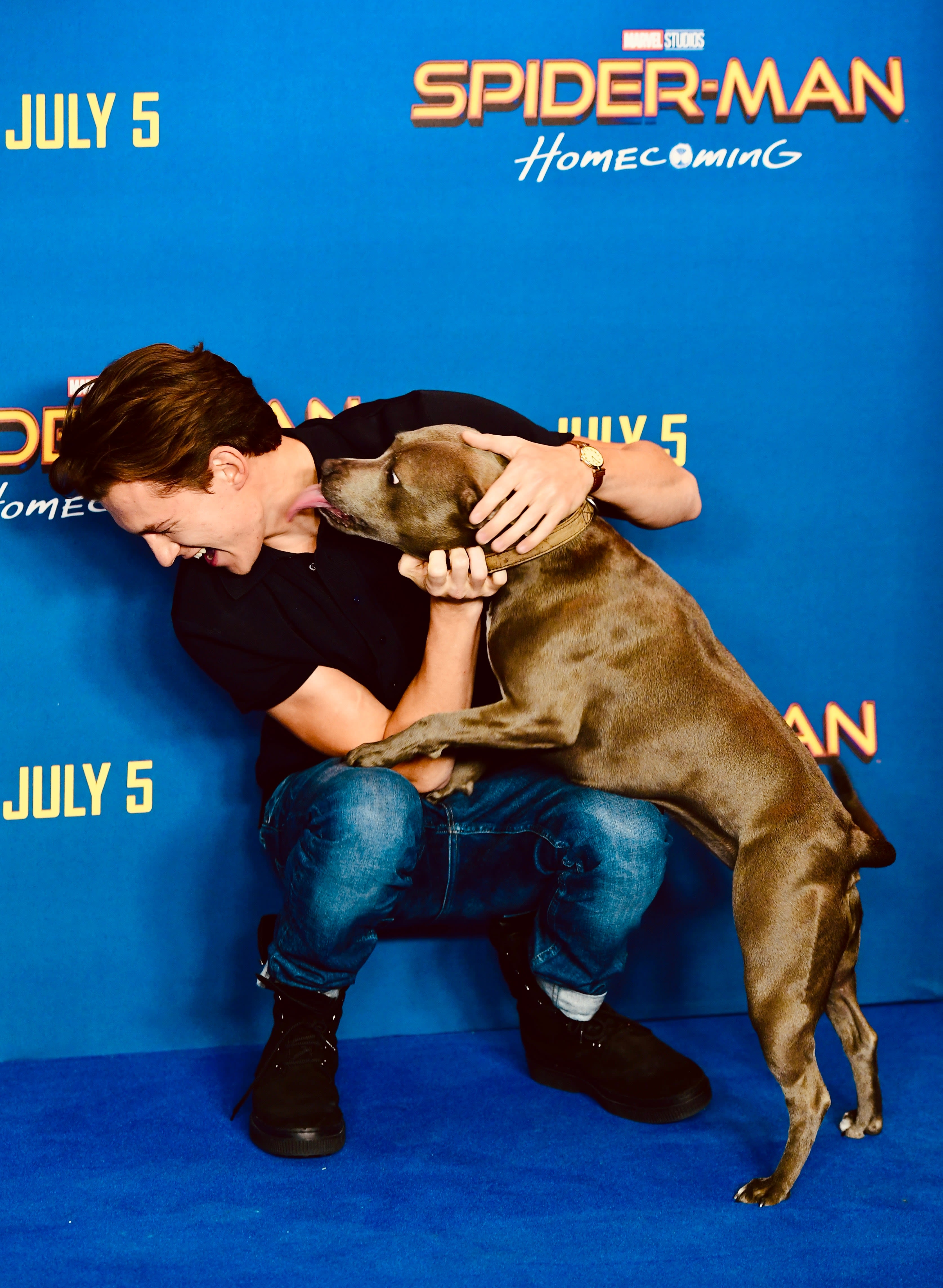 Tom Holland, Zendaya, & More Pay Tribute to the Actor's Late Dog Tessa