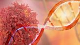 Translating ctDNA Detection into Breast Cancer Research Breakthroughs