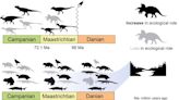 Study shows dinosaurs were 'struck down in their prime' by asteroid