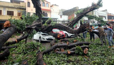 42 incidents of tree collapse and short circuits, 3 injured in house collapse following heavy rain in Mumbai