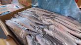 農委會祭補助措施 收購1500噸午仔魚