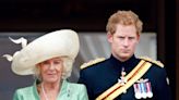 Prince Harry Says Camilla Isn't an 'Evil Stepmother.' His Memoir Begs to Differ