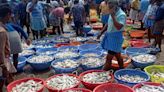 Tamil Nadu Fishermen Report Increase In Number Of Fish In Gulf Of Mannar - News18