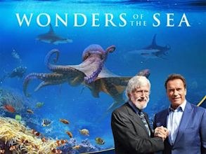 Wonders of the Sea