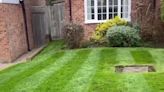 Pro gardener shows failsafe way to make balding lawns look lush for summer