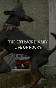 The Extraordinary Life of Rocky