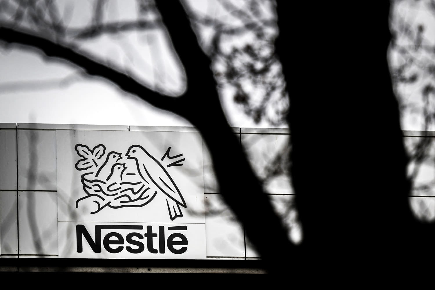 Nestlé adds sugars to baby food in low-income countries, report finds