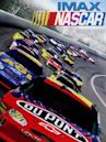 NASCAR 3D: The IMAX Experience