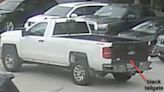 Police looking for truck associated with animal cruelty incident in Standish