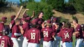 Prep baseball: Chemistry, talent takes Whitney Wildcats back to section championship game