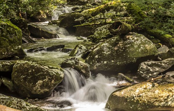 Great Smoky Mountains NP closes some roads, popular waterfall trail after strong storms