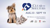 NBC10 Boston, NECN, Telemundo Boston and NBC Sports Boston to present Clear The Shelters “Adopt & Donate” campaign Aug. 23 to Sept. 19