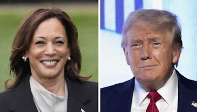 Trump and Harris campaigns intensify with 99 days left to Election Day