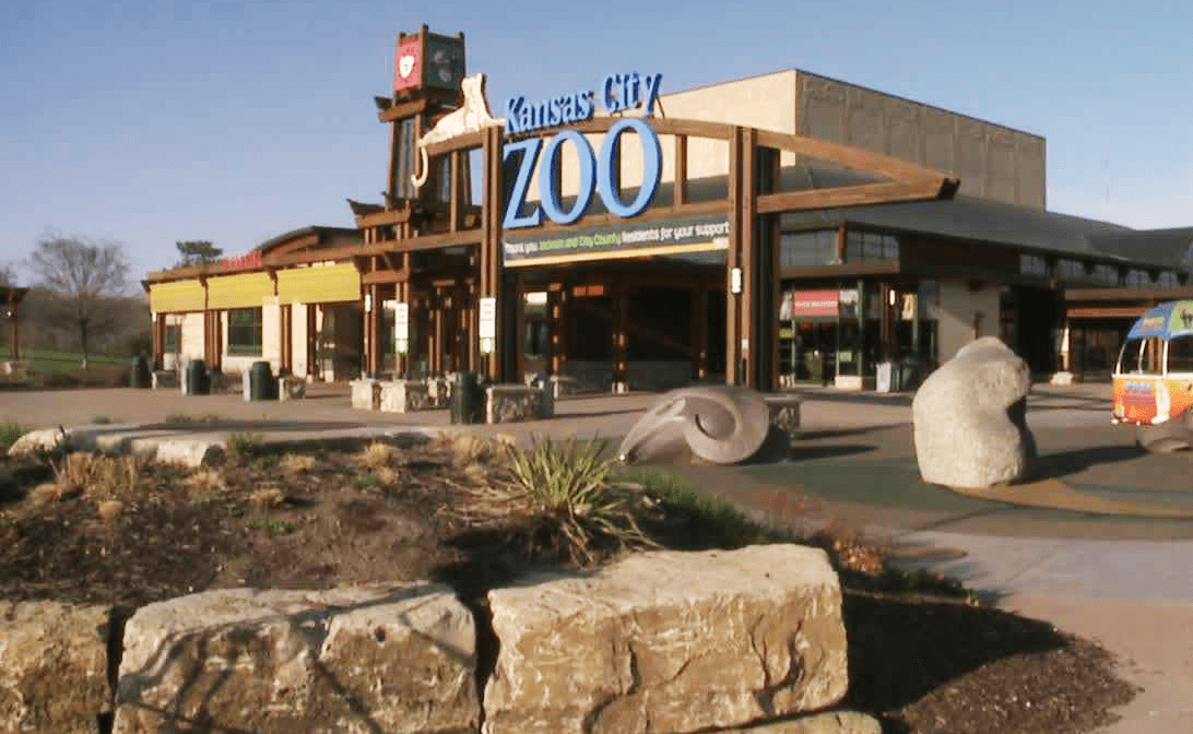 Spongebob Squarepants comes to Kansas City Zoo & Aquarium